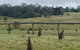 Private Country Escape With Valley Views - thumb 1