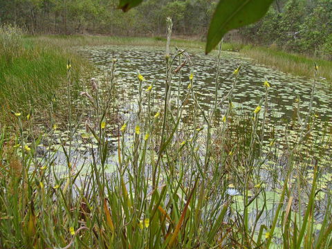 Back To The Bush - Tourism Canberra 3
