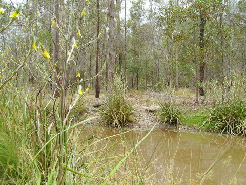 Back To The Bush - Tourism Canberra 2