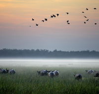 Bamurru Plains - Tourism Canberra