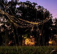 Banyan Tree - Tourism Canberra