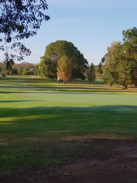 Barooga Golf View Motel - Tourism Canberra 2