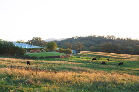 Rosby Guesthouse And Studio - Tourism Canberra 0