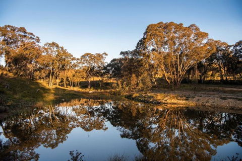Rose Quartz - 1 Bed With Mountain Views - Kundalini Lodge - Tourism Canberra 1