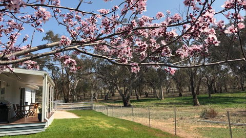 Rosewood Cottage - Tourism Canberra 3