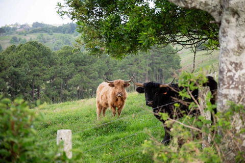 Rosewood Tiny Home By Tiny Away - Tourism Canberra 2