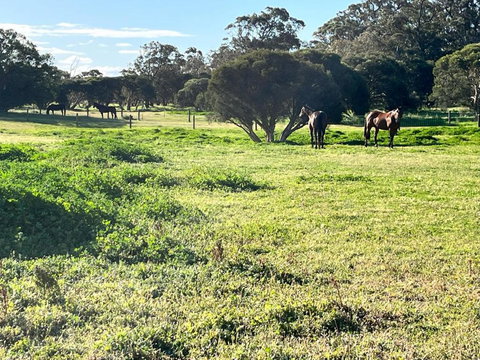 Secluded Rural Retreat In Southwest WA - Tourism Canberra 3