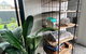 THE BANKSIA SUITE - thumb 3