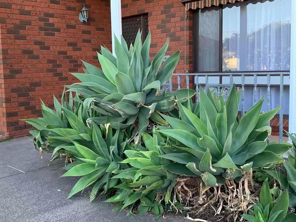 Bentleigh East VIC Tourism Canberra