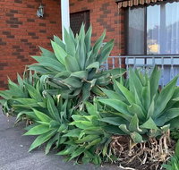 Beautiful Bedroom in Bentleigh East - Tourism Canberra
