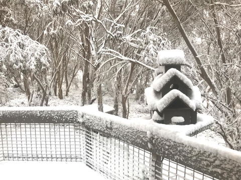 Belltrees - Tourism Canberra 1