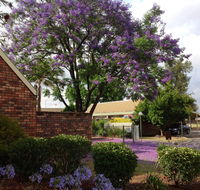 Belvoir Village Motel  Apartments Wodonga - Tourism Canberra