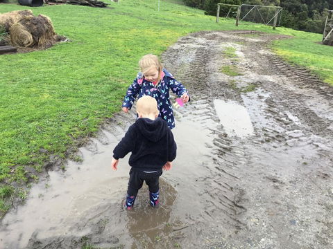 Beth's Cottage Roaring 40s - Tourism Canberra 3