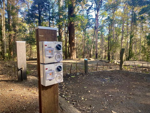 Binna Burra Rainforest Campsite - Tourism Canberra 1