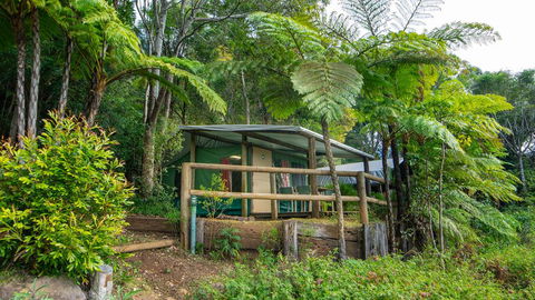 Binna Burra Rainforest Campsite - Tourism Canberra 0