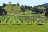 Book Mount Cole Accommodation Vacations Tourism Canberra Tourism Canberra