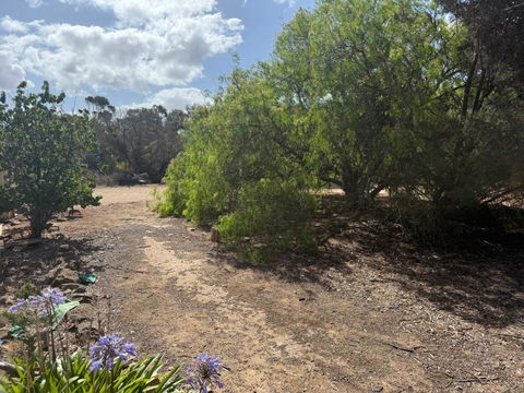 Woody House - Tourism Canberra 2