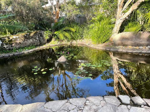 Your Place At Belongil Beach - Tourism Canberra 3