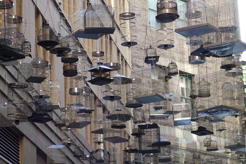 Sydney Scavenger Hunt: Inside Sydney - Tourism Canberra 0