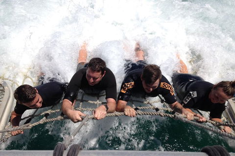 Cruise In Moreton Bay Marine Park And Moreton Island - Tourism Canberra 0