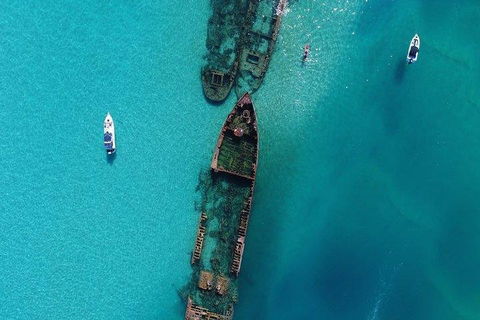 Cruise In Moreton Bay Marine Park And Moreton Island - Tourism Canberra 1