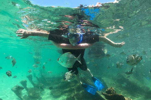 Cruise In Moreton Bay Marine Park And Moreton Island - Tourism Canberra 5