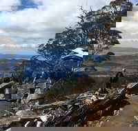 kunanyi / Mt Wellington Explorer Bus - 2 Hour Return Tour - Tourism Canberra