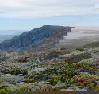 kunanyi/Mt Wellington Explorer Bus - One Way Tour - Tourism Canberra