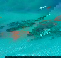 Private Tangalooma Wrecks Tour - Tourism Canberra