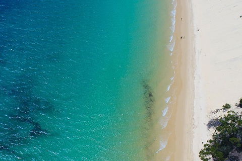 Private Tangalooma Wrecks Tour - Tourism Canberra 1