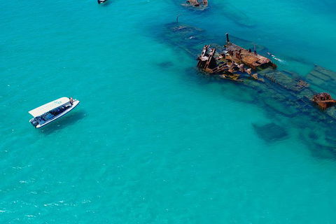 Private Tangalooma Wrecks Tour - Tourism Canberra 4