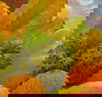 Private Half Day Tour Exclusive World Heritage Rainforest and Waterfall Tour from Cairns - Tourism Canberra