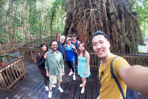 Cairns 4WD Waterfall And Rainforest Tour Including Kuranda Scenic Railway - Tourism Canberra 0