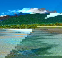 8-Day Cairns Tour Great Barrier Reef Kuranda Daintree Rainforest - Tourism Canberra