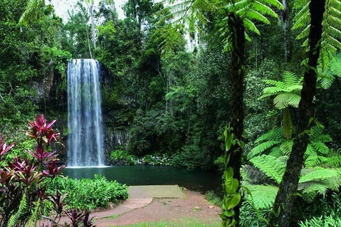 Paronella Park And Millaa Millaa Falls Full-day Tour From Cairns - Tourism Canberra 3