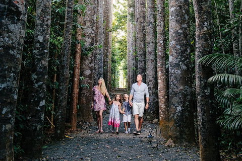 Paronella Park And Millaa Millaa Falls Full-day Tour From Cairns - Tourism Canberra 5