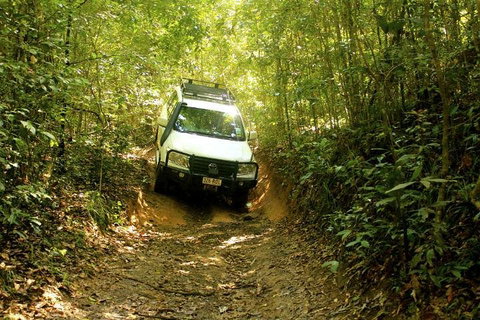 Barron Gorge And Kuranda National Park Half Day Rainforest And Waterfall 4WD Tour From Cairns - Tourism Canberra 2