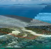 4-Day Cairns with Great Barrier Reef and Daintree Rainforest - Tourism Canberra