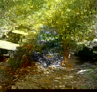 Cairns National Park Rainforest and Waterfall Small Group Tour Shore Excursion - Tourism Canberra