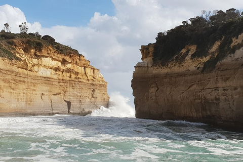 12 Apostles Tour From Warrnambool - Tourism Canberra 2