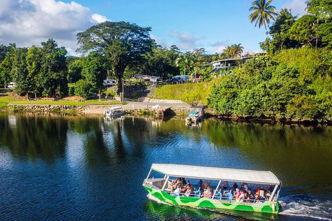 Afternoon Half-Day Daintree Rainforest And River Tour - Tourism Canberra 1