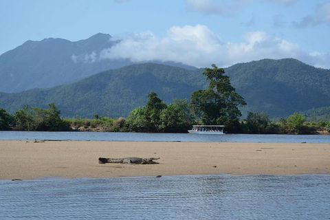 Afternoon Half-Day Daintree Rainforest And River Tour - Tourism Canberra 2
