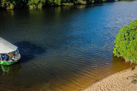 Afternoon Half-Day Daintree Rainforest And River Tour - Tourism Canberra 3