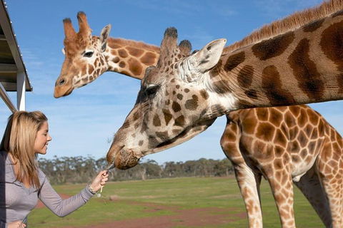 Melbourne City Card (2 Days): Visit Unlimited Attractions! - Tourism Canberra 1