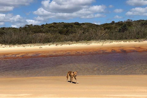 Pippies 3 Days 2 Nights Fraser Island Tour - Tourism Canberra 2