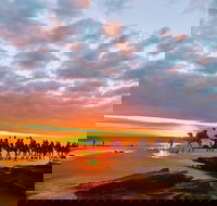 1 Hour Broome Sunset Camel Tour - Tourism Canberra