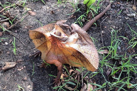 Litchfield National Park And Jumping Crocodile Cruise - Tourism Canberra 1