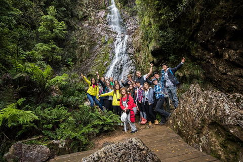 5-Day Lap Of Tasmania Tour From Hobart (flexible Ticket) - Tourism Canberra 0