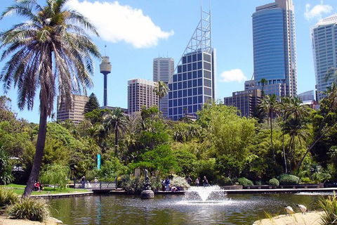 Private Sydney Half Day Tour Including Sydney Opera House And Bondi Beach - Tourism Canberra 4