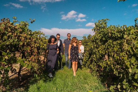 Barossa Valley Private Tour (from 2 To 11 People) - Tourism Canberra 0